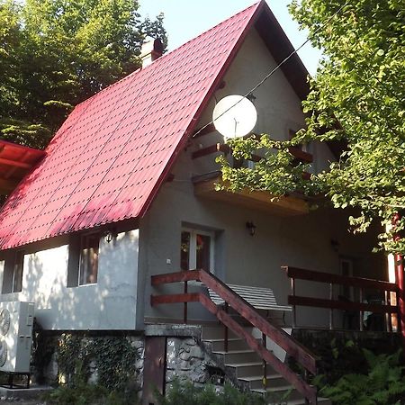 Casa De Oaspeti Boga Pietroasa  Ngoại thất bức ảnh