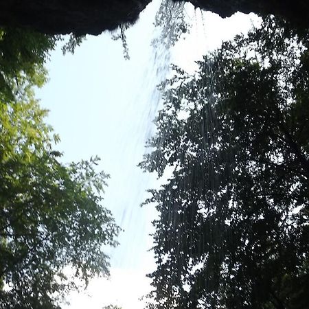 Casa De Oaspeti Boga Pietroasa  Ngoại thất bức ảnh