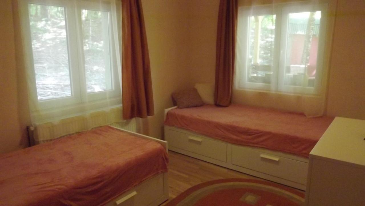 Casa De Oaspeti Boga Pietroasa  Ngoại thất bức ảnh