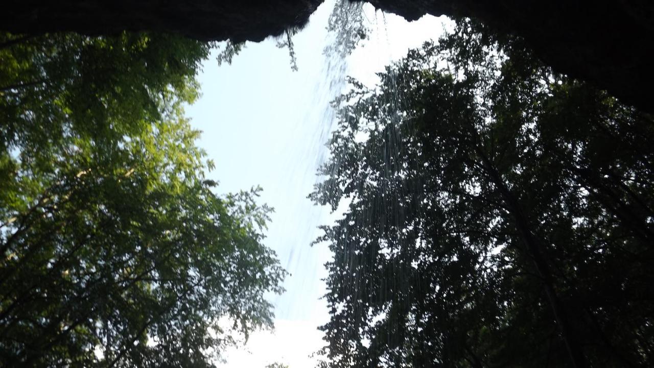Casa De Oaspeti Boga Pietroasa  Ngoại thất bức ảnh